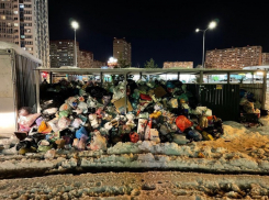 «Гнилые отмазки»: мусорные горы возле администрации Краснодара сняли на видео