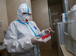 Идет на спад: за сутки на Кубани подтвердили 1 325 случаев заболевания коронавирусом