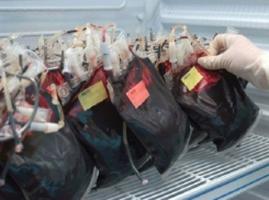 За неделю жители Краснодара сдали более тысячи литров крови
