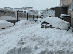 В Краснодаре выпало рекордное количество снега за всю историю метеонаблюдений