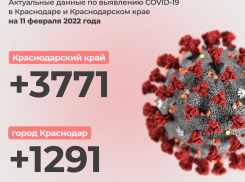 Продолжаем бить антирекорд: на Кубани за сутки коронавирусом заразились 3771 человек
