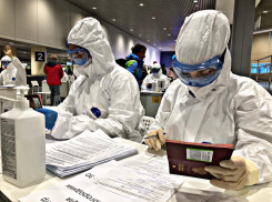 На Кубани 805 человек заразились коронавирусом за сутки 