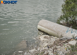 Суд обязал мэрию Краснодара прекратить сброс грязных сточных вод в озеро Карасун