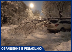 Коммунальщики не выполняют работу: в Краснодаре дерево упало на машину из-за снега 