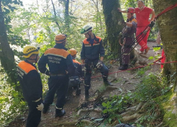 В Сочи турист чудом выжил после падения с 20-метровой высоты