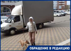 В Краснодаре девушка с бойцовской собакой жестоко избила женщину из-за экскрементов