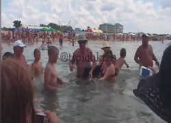 Акула в Черном море плавала среди купающихся – видео