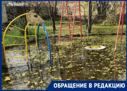 «Наше болото уже квакает»: на детской площадке в Краснодаре появились лягушки