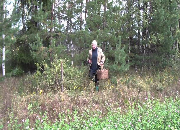 Пенсионерка из Горячего ключа заблудилась и три дня блуждала по лесу