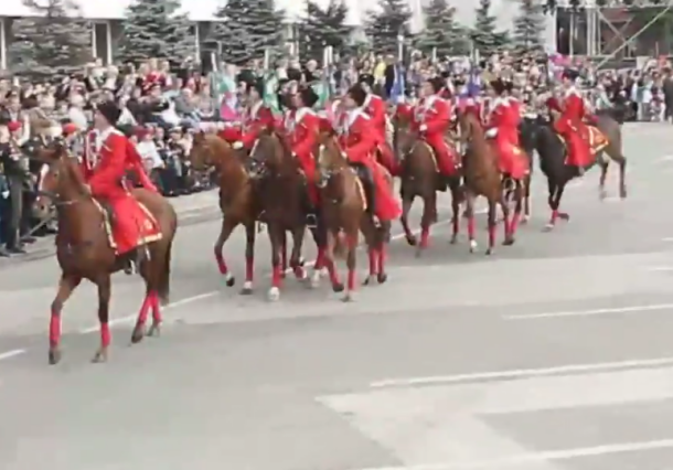 Лошадь казака взбесилась на параде в Краснодаре