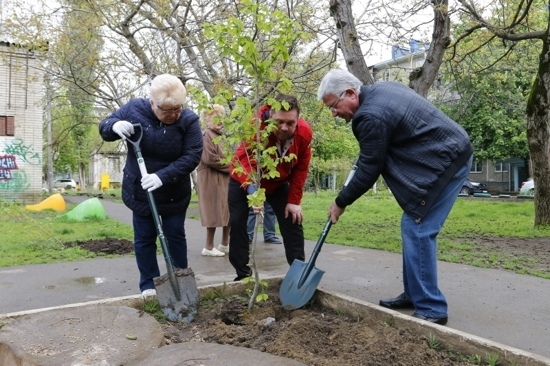 В Краснодаре Владимир Евланов посадил деревья на Всекубанском субботнике