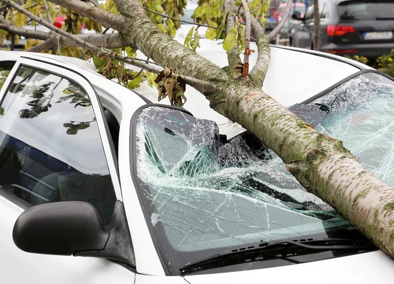 Более 20 автомобилей краснодарцев пострадали от упавших веток и заборов